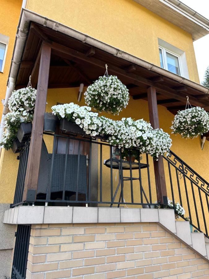 Yellow Villa Gdansk Dış mekan fotoğraf